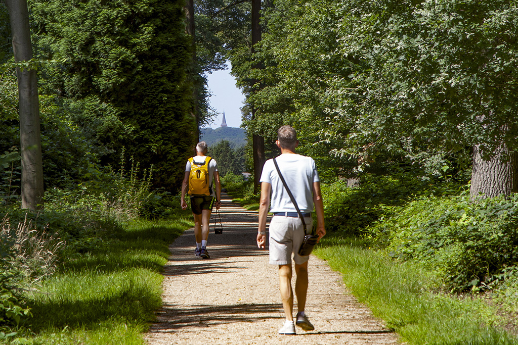 De Plantage - 