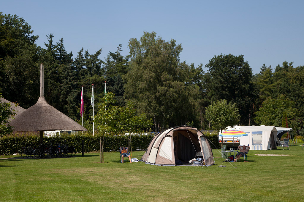 Camping 't Meulenbrugge - Vorden - IMG_2930 Regio Achterhoek - Liemers