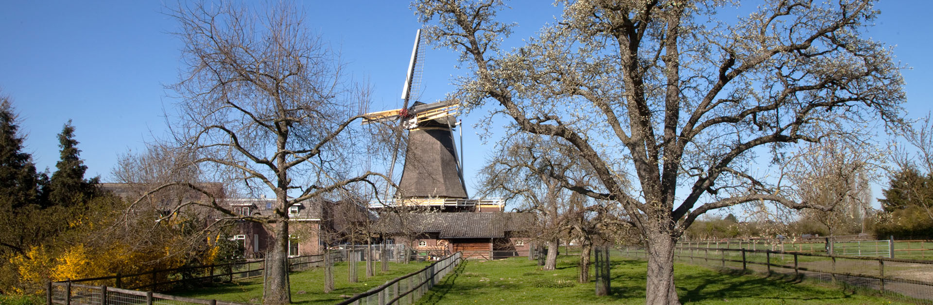 Molen de Hoop - Oud Zevenaar Regio Achterhoek - Liemers